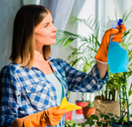 Office Sanitization